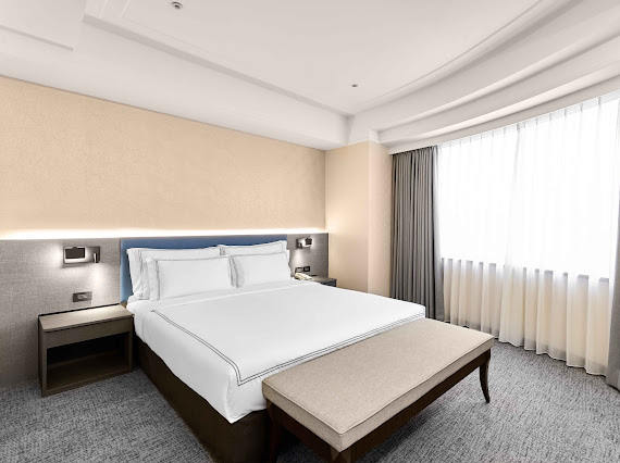 Stay Suite