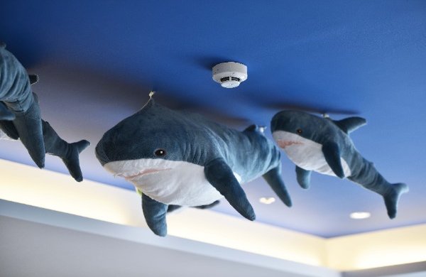 鲨鲨房 (两中床150x200cm)