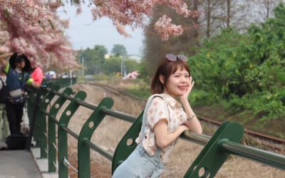 鐵道花旗木