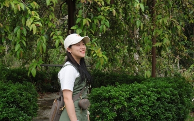 玉峰黃金愛玉園