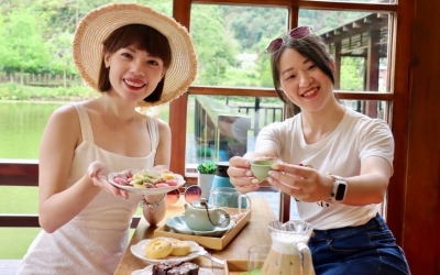 STEAM : 隱茶