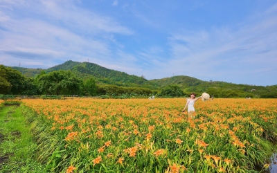 頭社盆地
