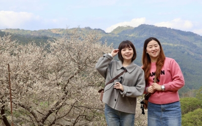 九份二山九尖茶廠