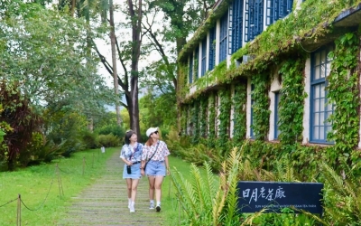 日月老茶廠