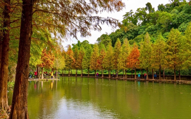 大溪月眉人工溼地生態公園