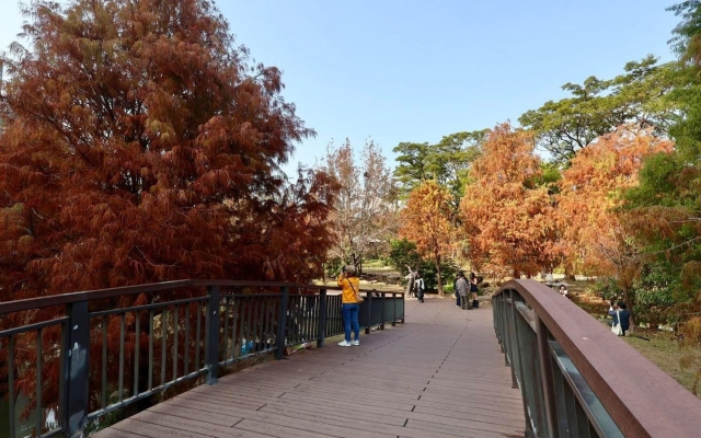 凹子底森林公園