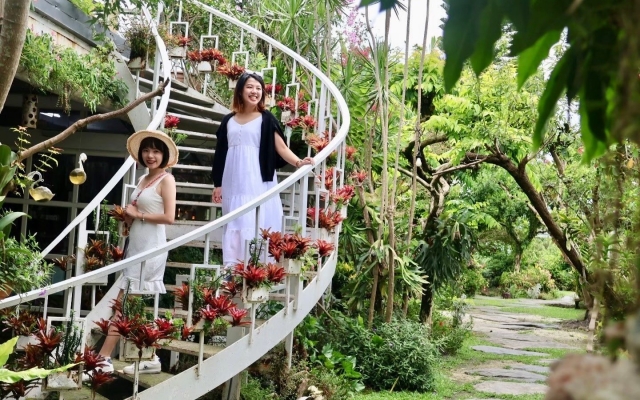 漂流木花園餐廳