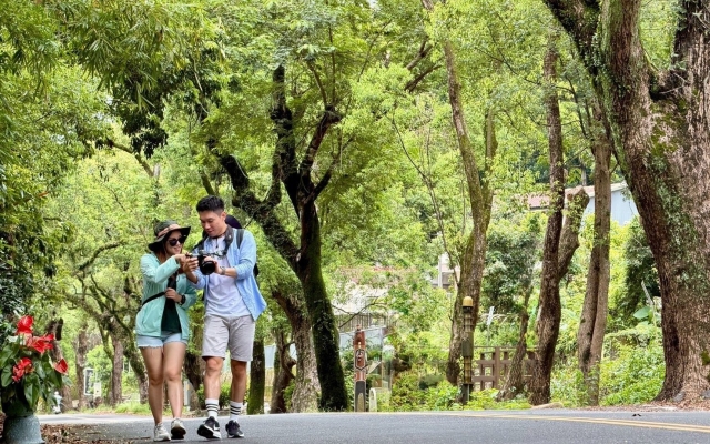 集集綠色隧道
