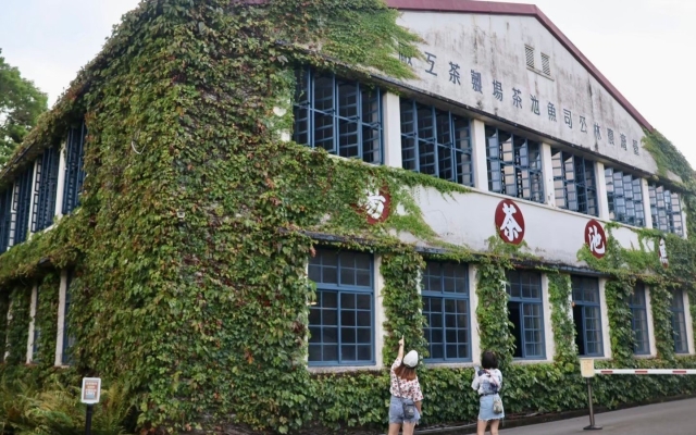 日月老茶廠