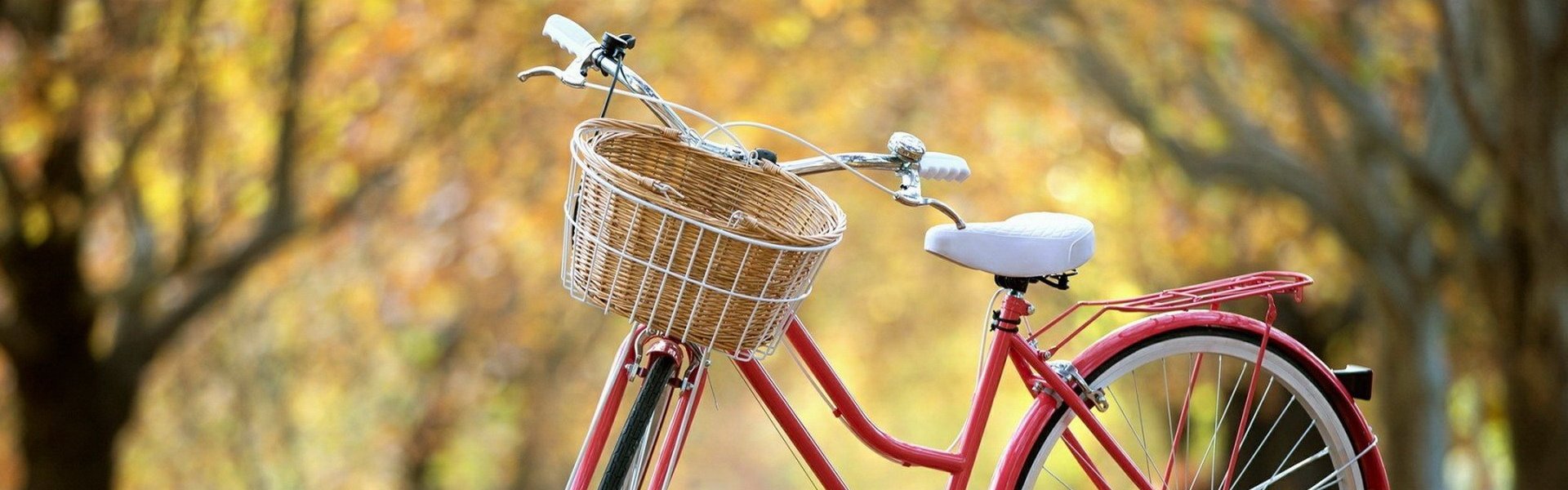 Bicycle rental service