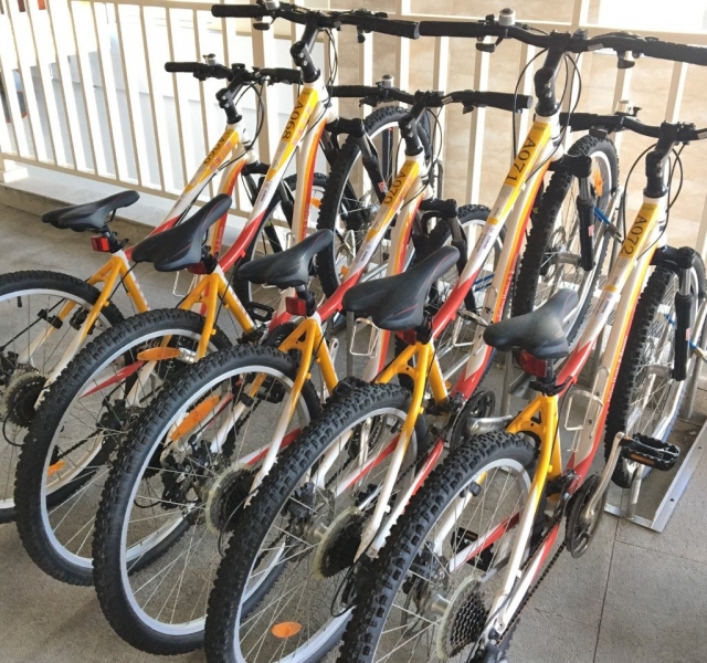 Bicycle rental service