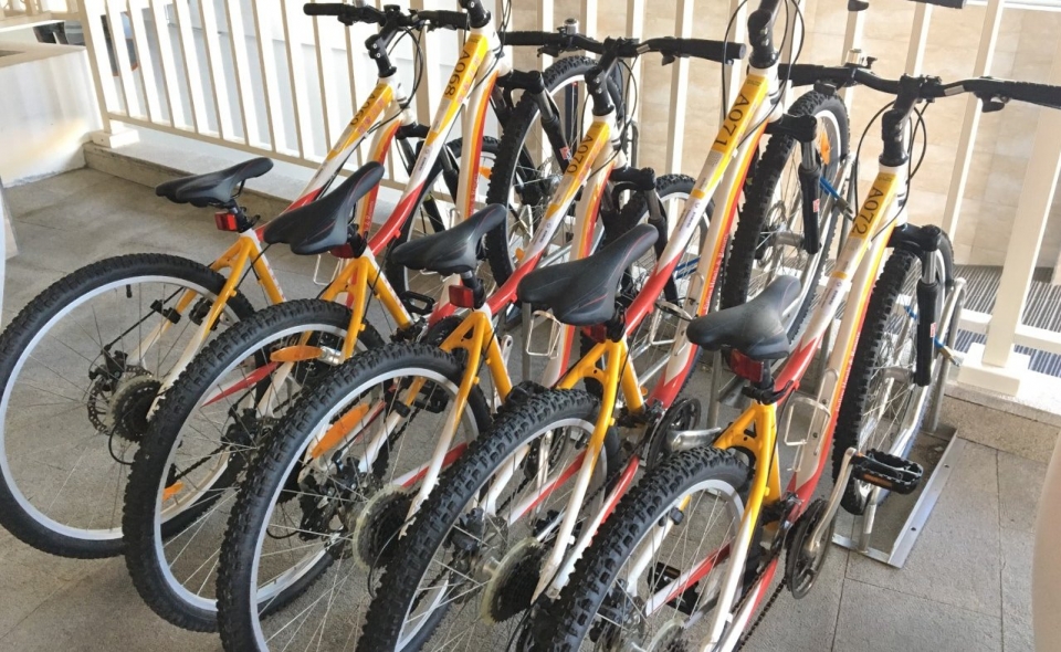 Bicycle rental service