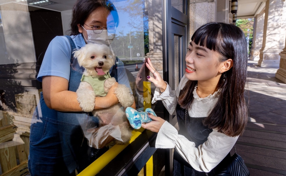 Friendly Space - Pet's Home