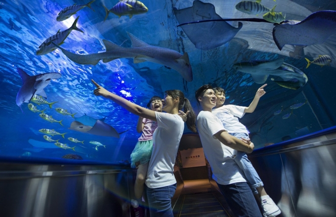 2021 福容海洋夜未眠|三天兩夜住房專案