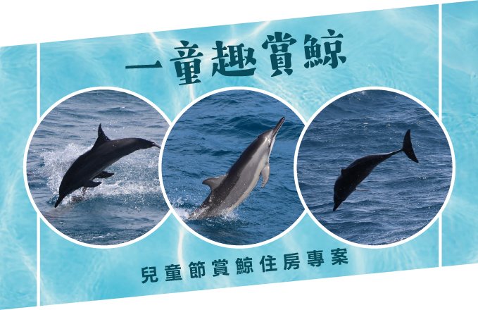 【一童趣賞鯨!】2026兒童節賞鯨住房專案