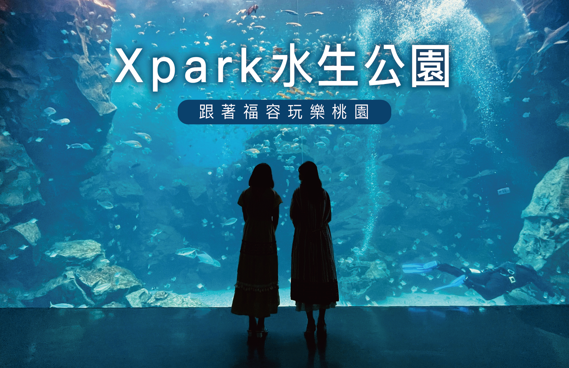【玩樂桃園】Xpark水生公園