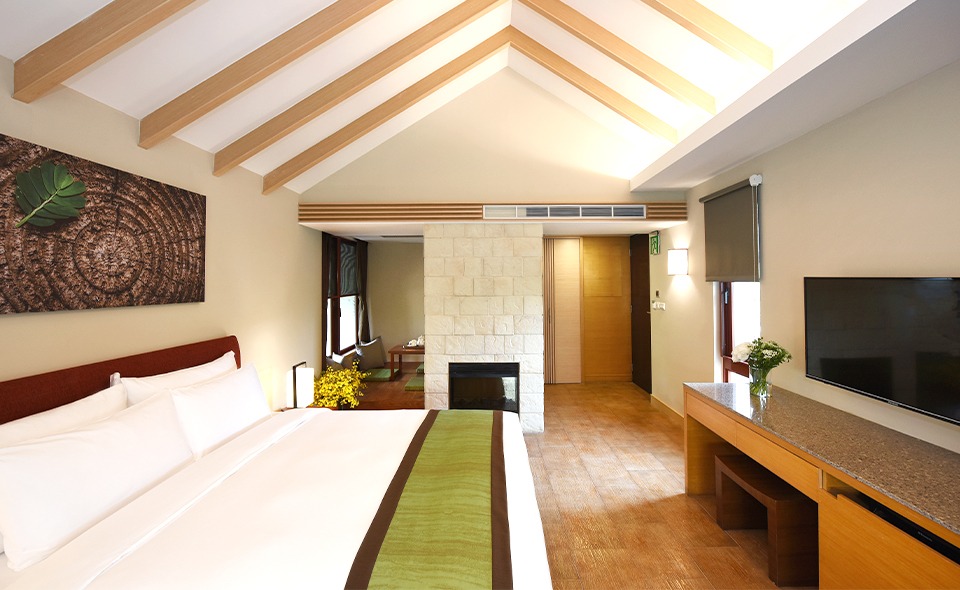 Equilibrium Zen Guestroom