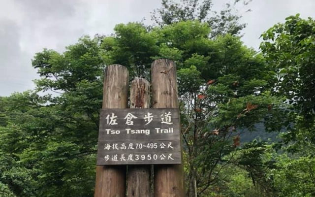 Sakura Trail