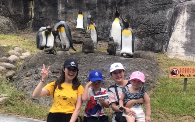 家族で楽しめる動物園1日ツアー＆深坑老街のウォーキング