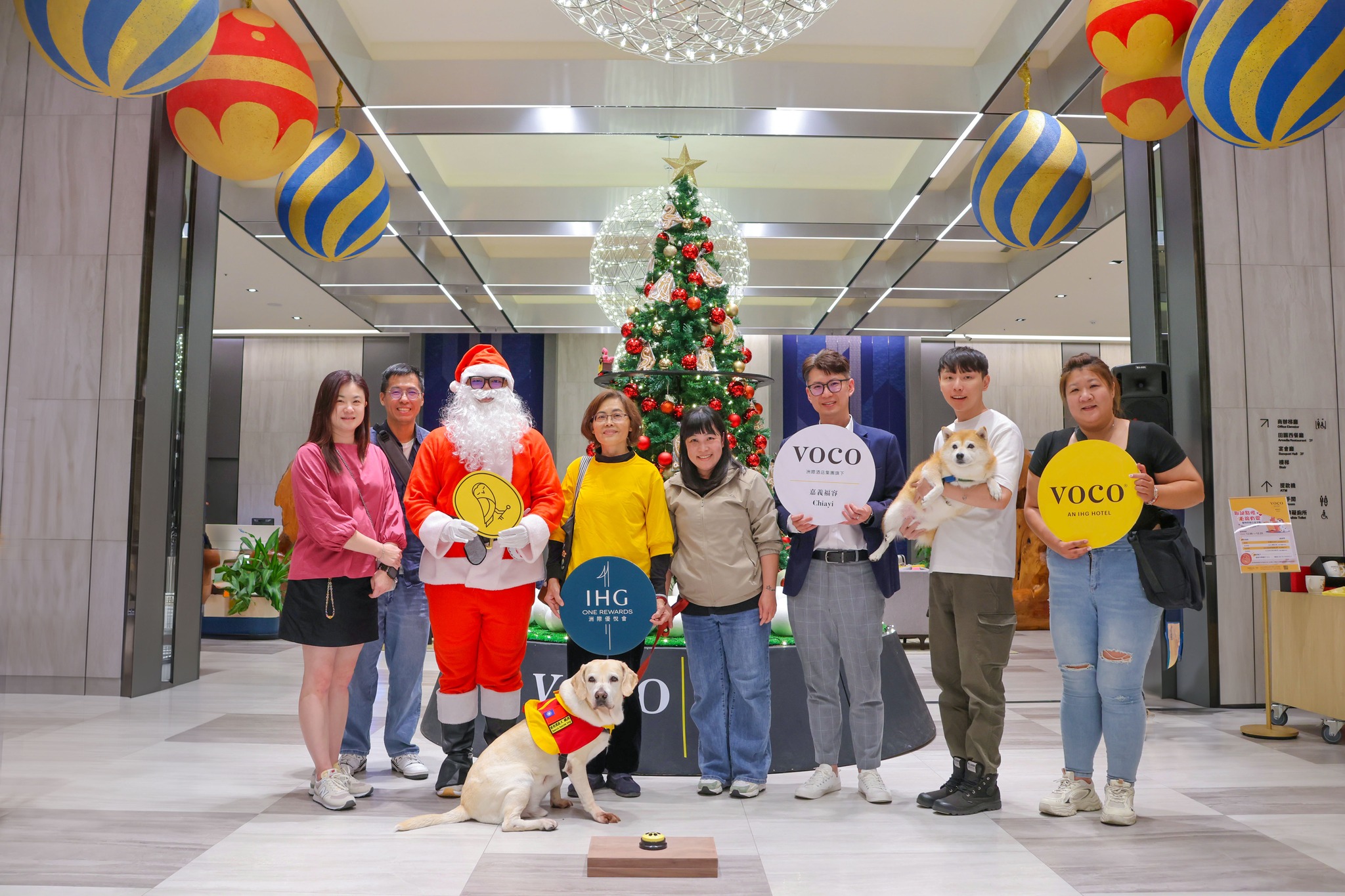 圖一、退役搜救犬「鐵雄」擔任點燈大使，萌按按鈕瞬間點亮嘉義福容voco酒店大廳耶誕裝置。（圖／嘉義福容voco酒店）