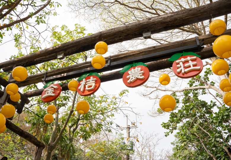 嘉義福容voco酒店 × 民雄金桔農莊|在地農莊體驗 X 金桔手作樂趣