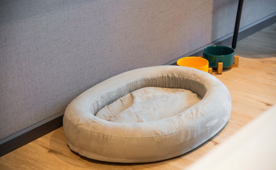 宠物房（1张超大床）