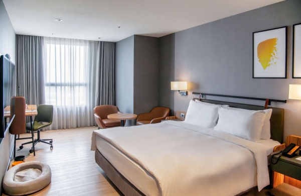 1 King Standard Pet Friendly